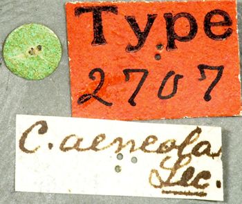 Media type: image;   Entomology 2707 Aspect: labels